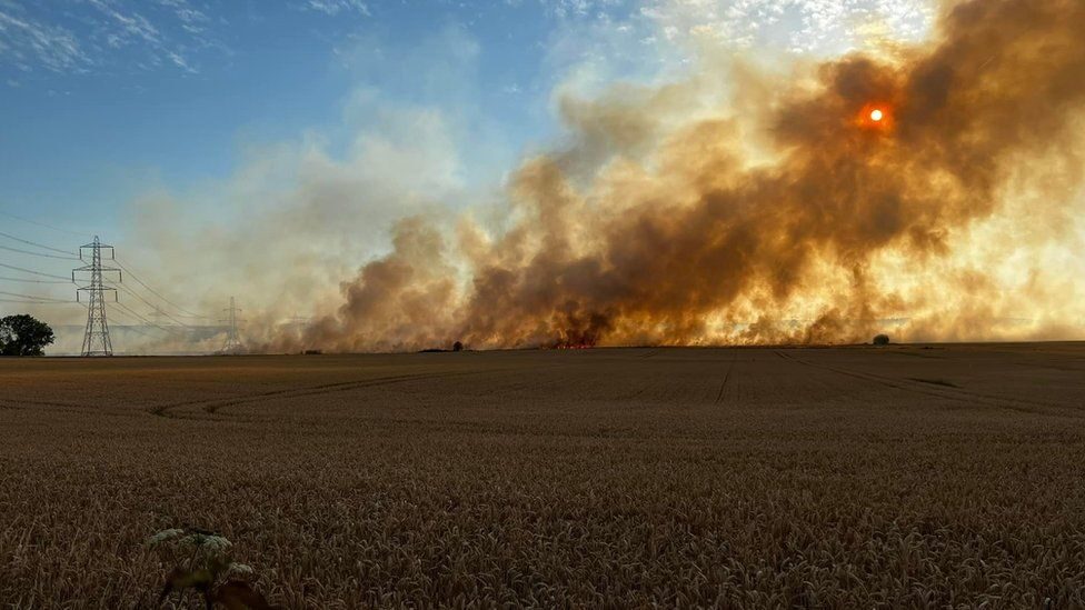 Cobham field fire crops