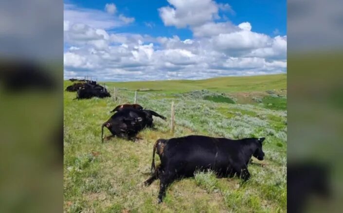 lighting strike in Canada’s Saskatchewan