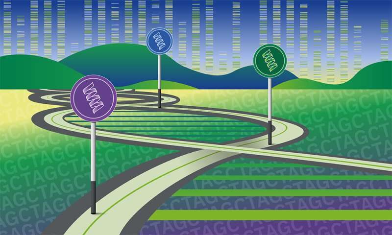 genome road