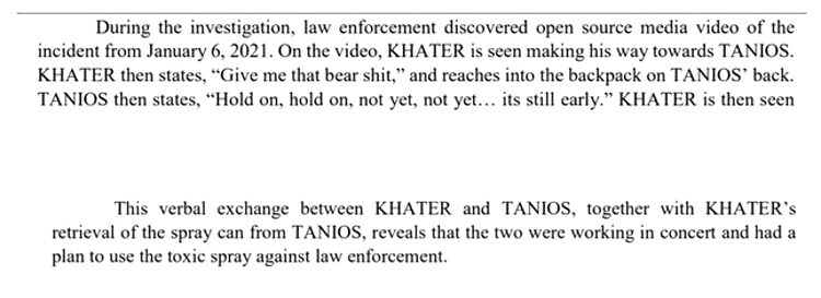 Click to enlarge ray epps hearing jan 6 bear spray