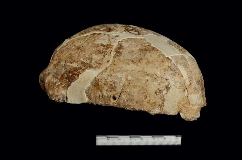 skull china
