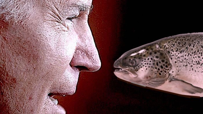 Biden and fish
