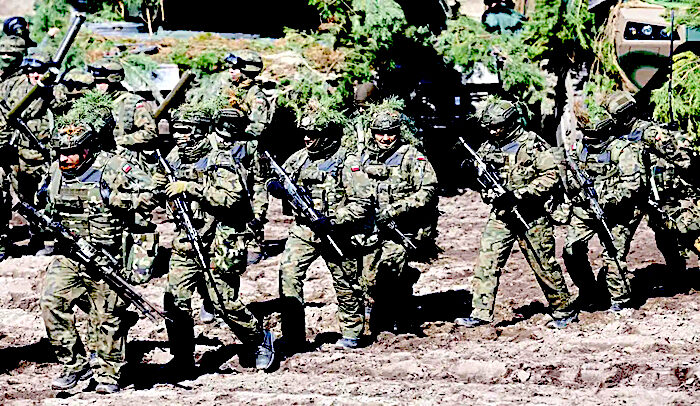 Click to enlarge polish/US troops
