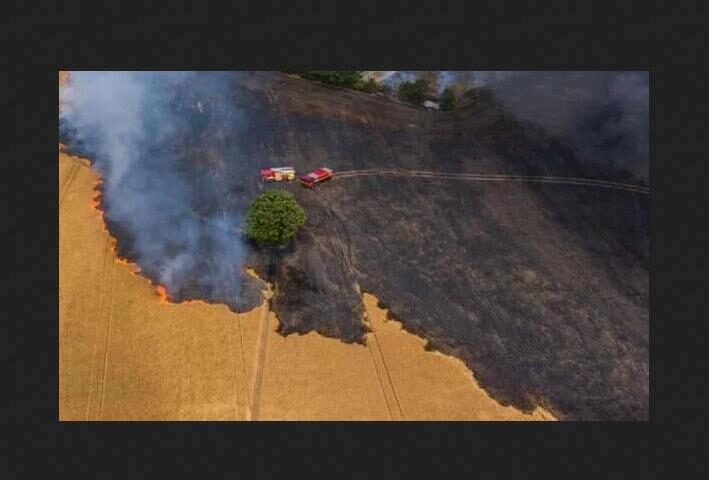 crop field fire