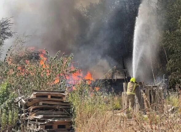 crop field fire