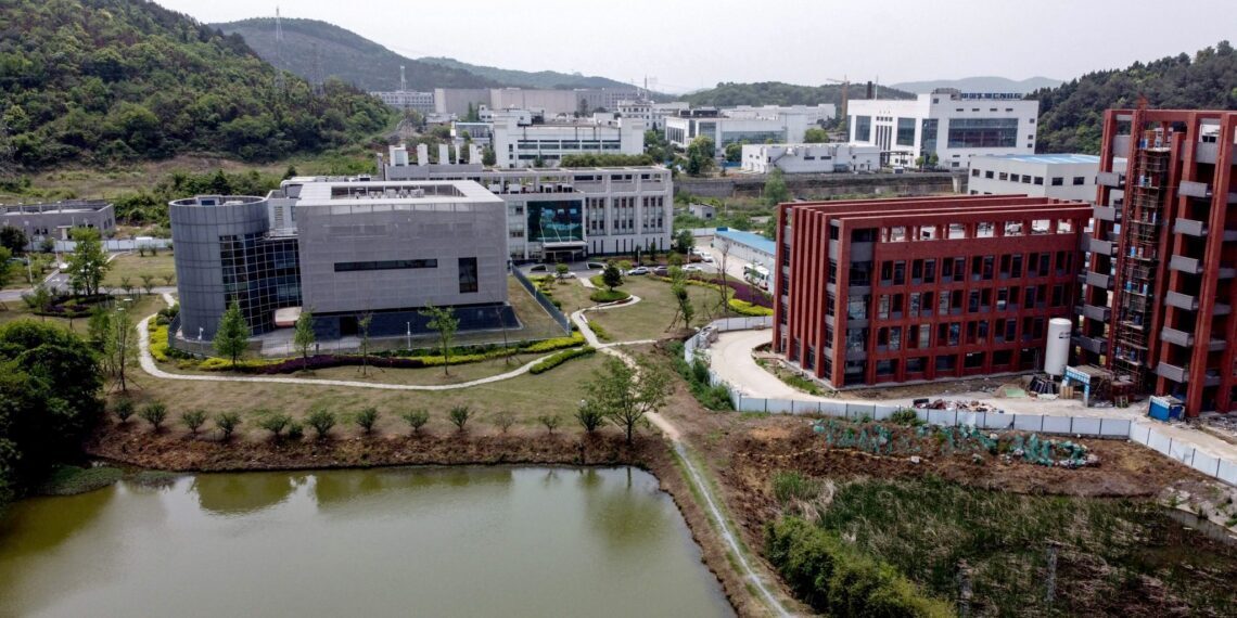 Click to enlarge wuhan lab virus leak covid