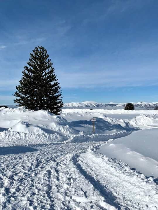 Click to enlarge snow