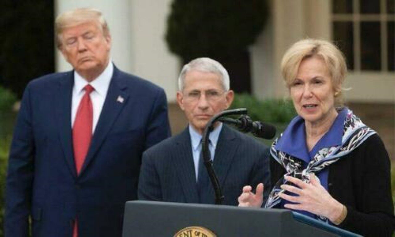 trump fauci birx