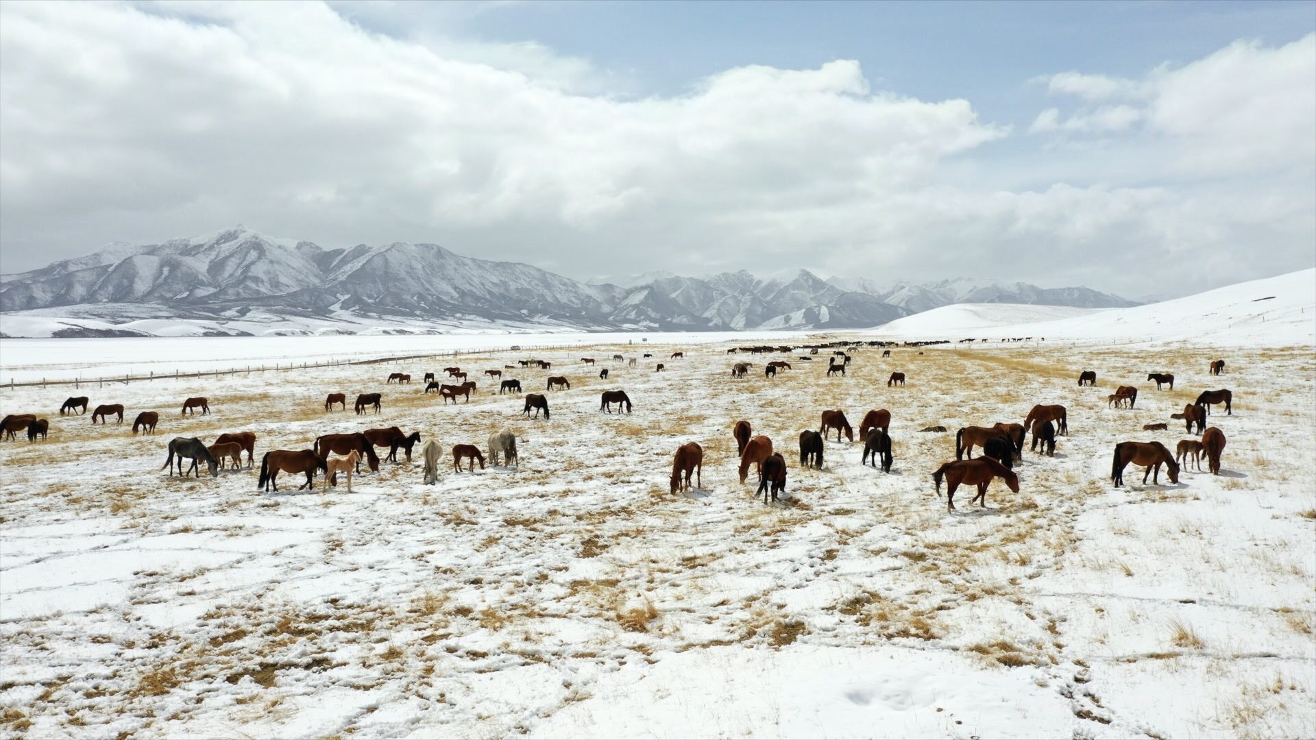 Click to enlarge snow