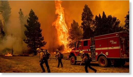 The fire near Jerseydale, Mariposa County, California, on July 23, 2022.