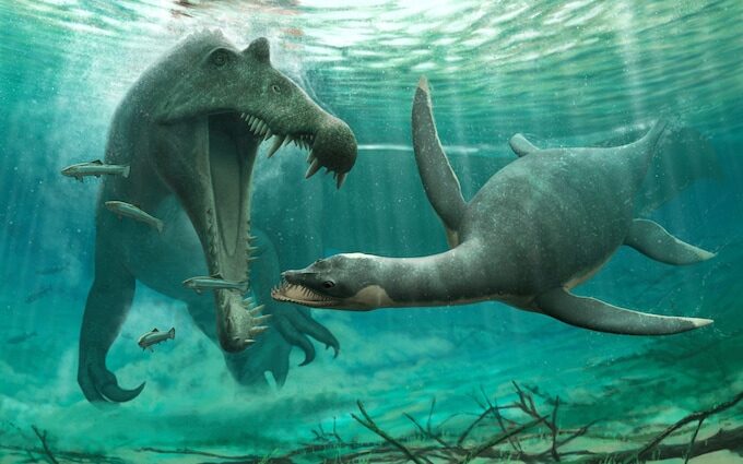 plesiosau