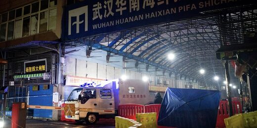 wuhan market warehouse