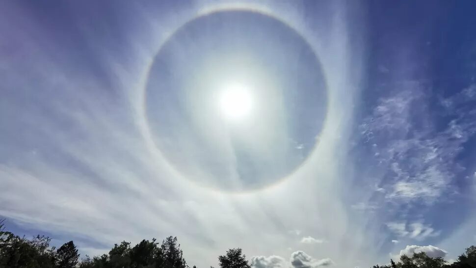 22⁰ halo