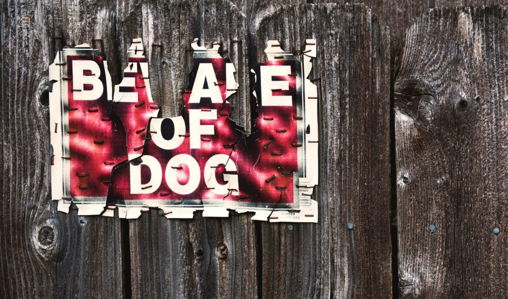 dogs