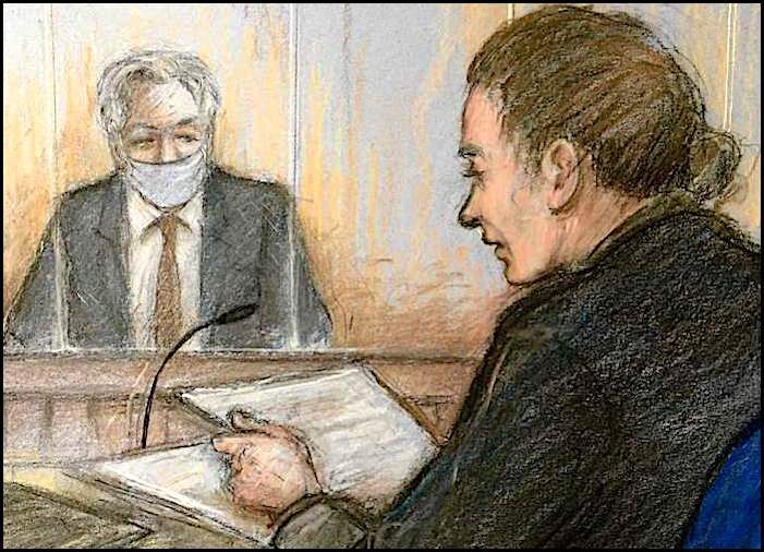 Click to enlarge Assange