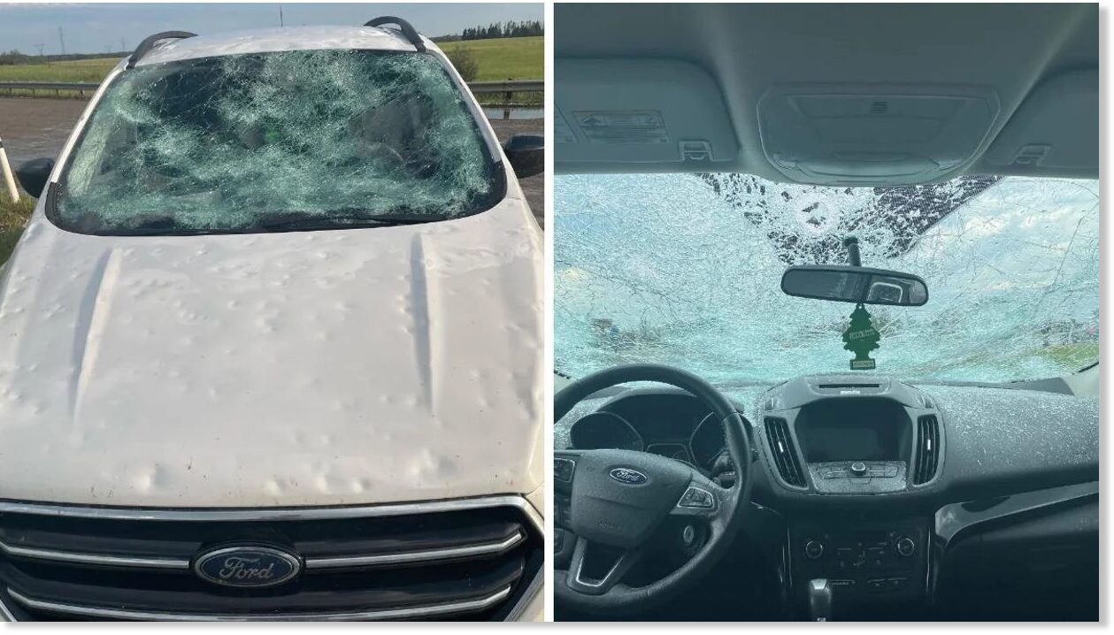 Parts of Alberta saw ‘grapefruit-sized’ hail & some car windshields were shattered