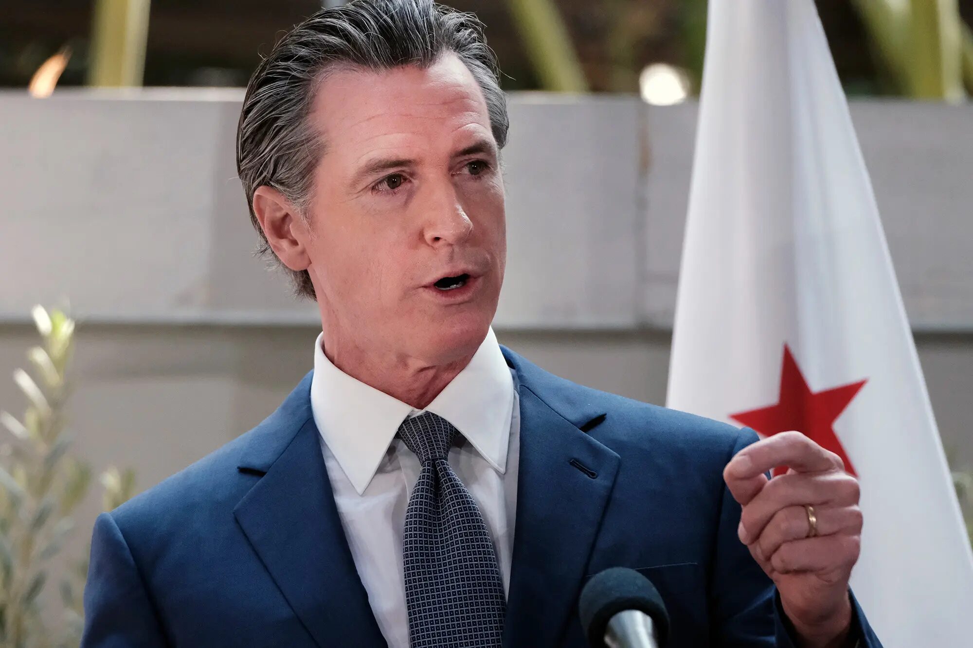 gavin newsom