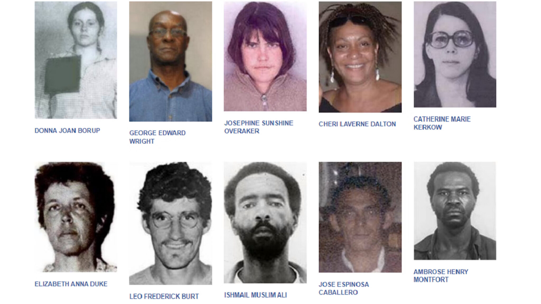 fbi most wanted leftists