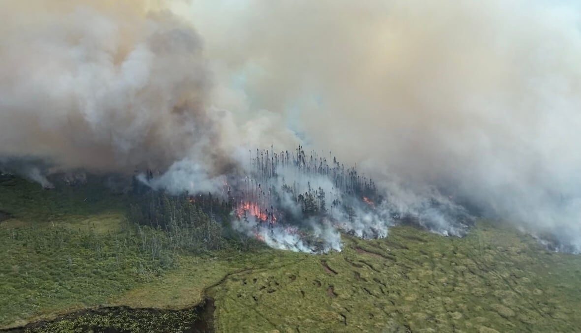 A forest fire rages near N.L.'s Bay d'Espoir Highway on Saturday, August 6, 2022.