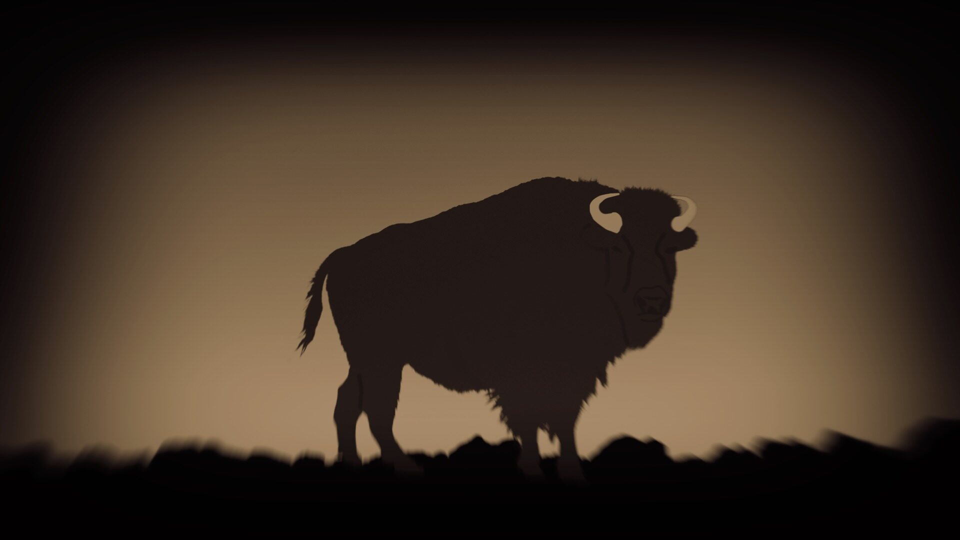 Click to enlarge Kansas bison owner killed, deputy seriously injured