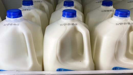 jugs of milk