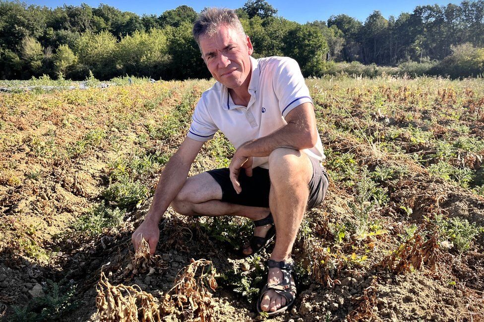 Click to enlarge drought loire valley france