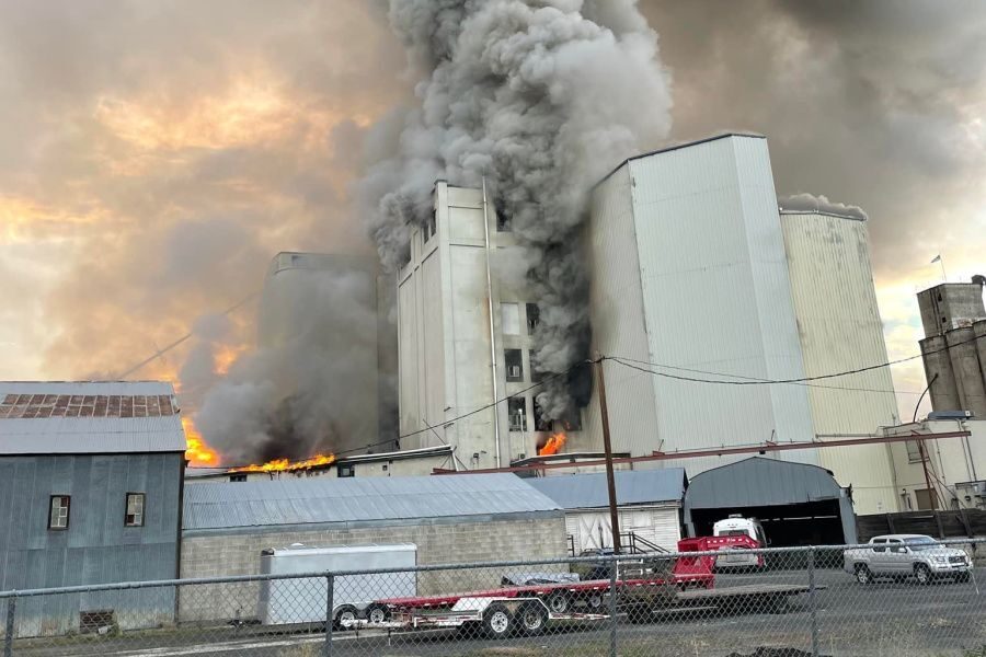 Fire destroys Oregon flour mill, huge fire tears through Sydney bread factory on the same day