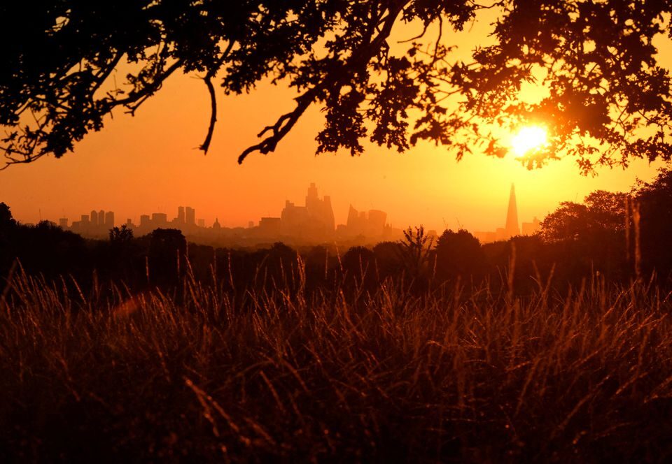 Click to enlarge The sun rises above the London skyline, as a second heatwave is predicted for parts of the country, in London, Britain, August 11, 2022.