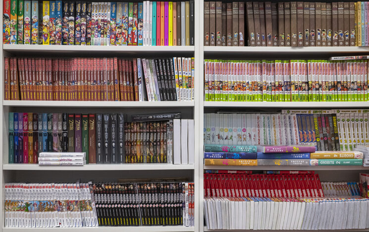 Click to enlarge manga bookshelves pornography