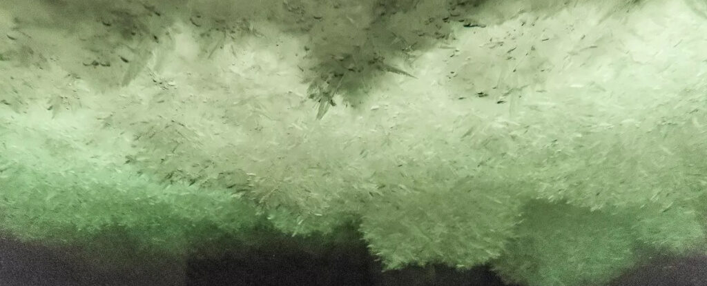 Frazil ice