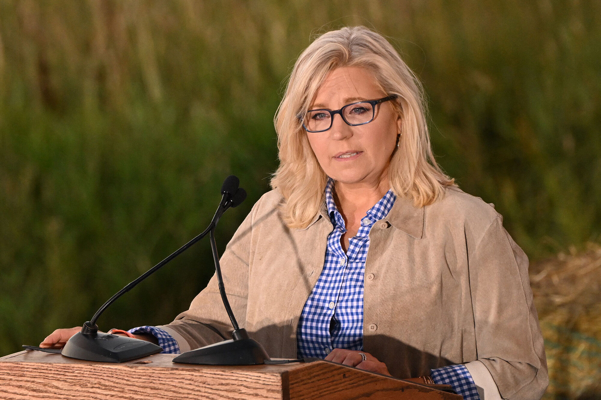 Click to enlarge liz cheney