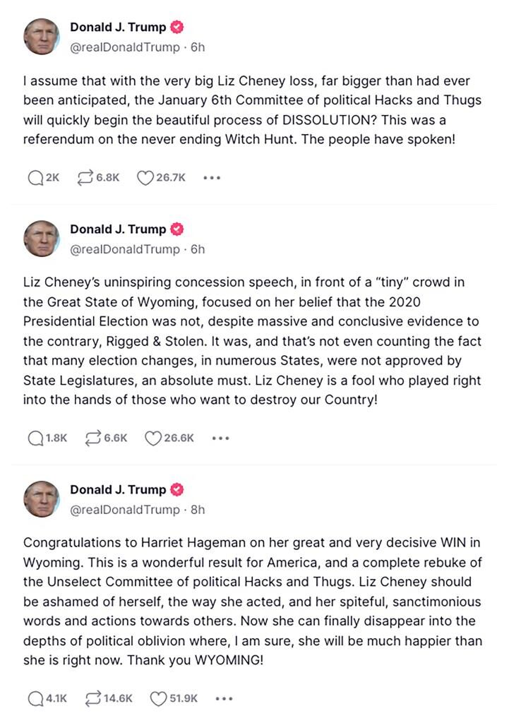 trump truth social post liz cheny