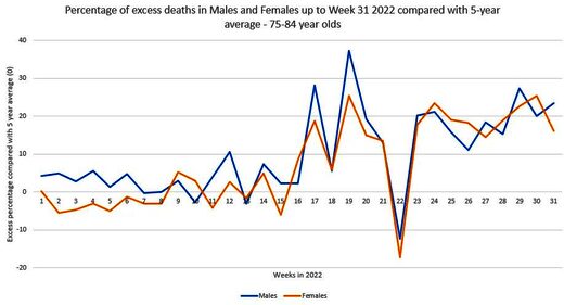 excess deaths britain 2022