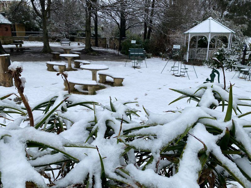 Click to enlarge snow