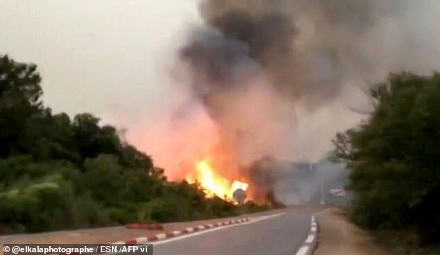 Click to enlarge Wildfires raging in the forests of eastern Algeria have killed at least 38 people and wounded hundreds of others