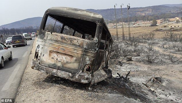 Click to enlarge A horror 'fire tornado' has killed at least 38 people in Algeria after it ripped through a wildlife park and incinerated 12 people trying to escape a flaming bus