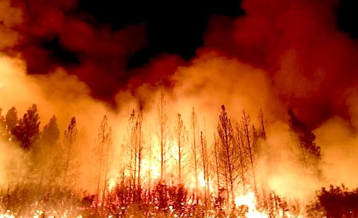 Rim Fire