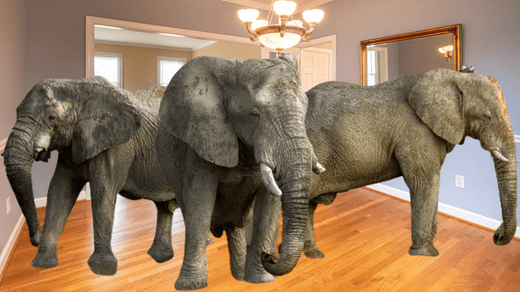 elephants in room