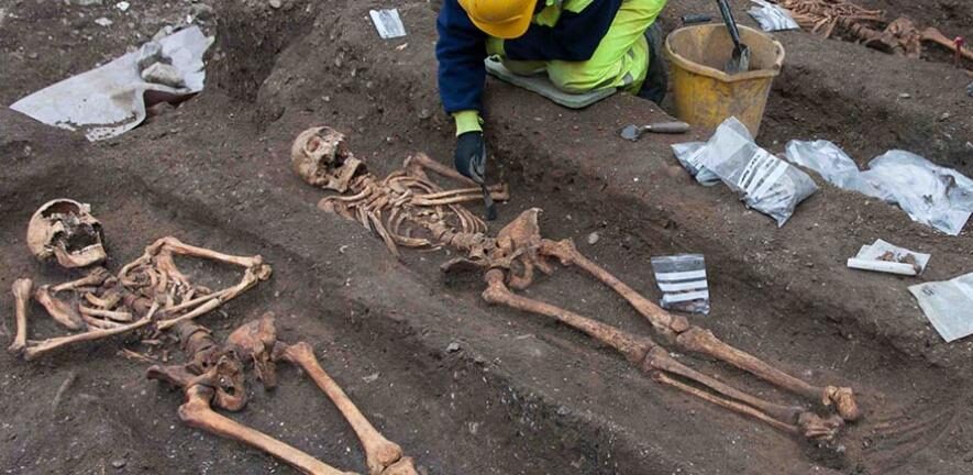 skeleton excavation