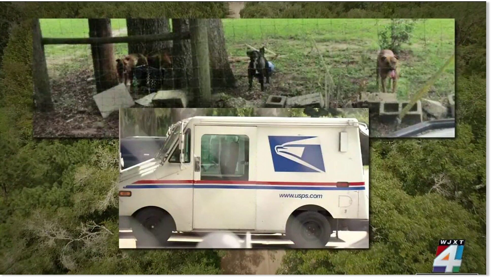 Postal worker dies after dog attack in Putnam County, Florida — Earth