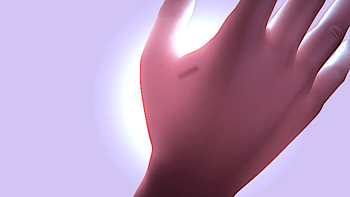 Microchip