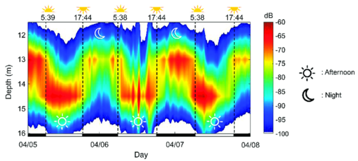 Click to enlarge plankton migration light cycles