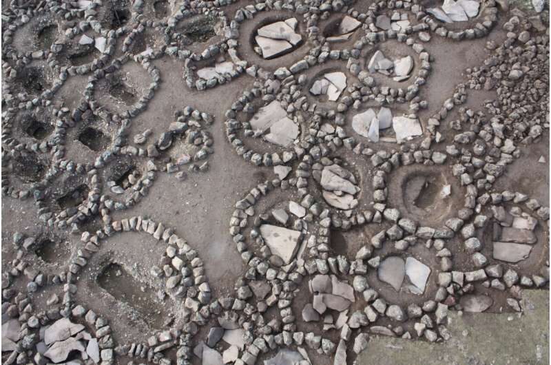 agriculture farming archeology