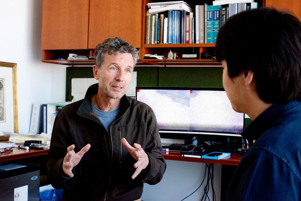 UCSF researcher Massimo Scanziani
