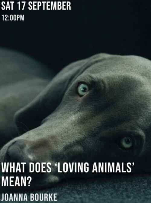 Click to enlarge loving animals beastiality promo