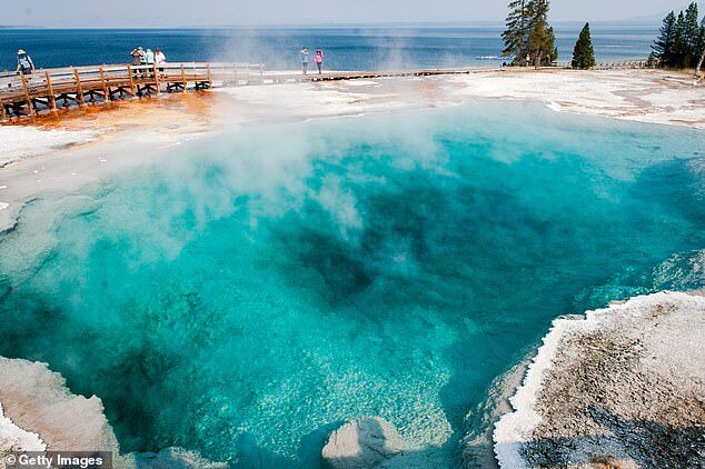 yellowstone geyser