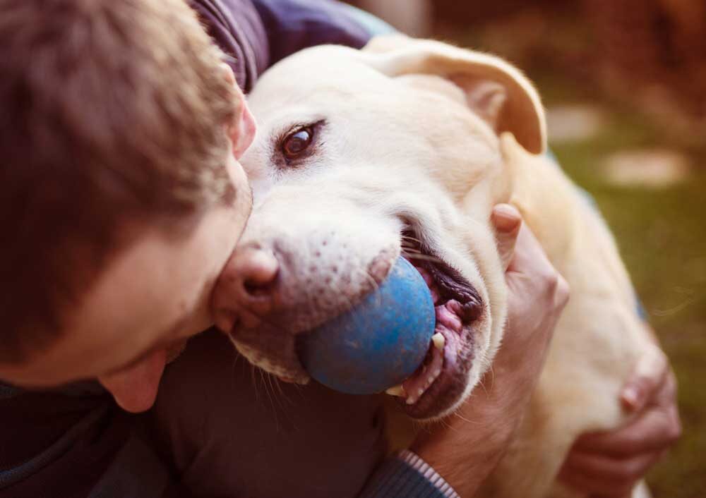 Man and a dog