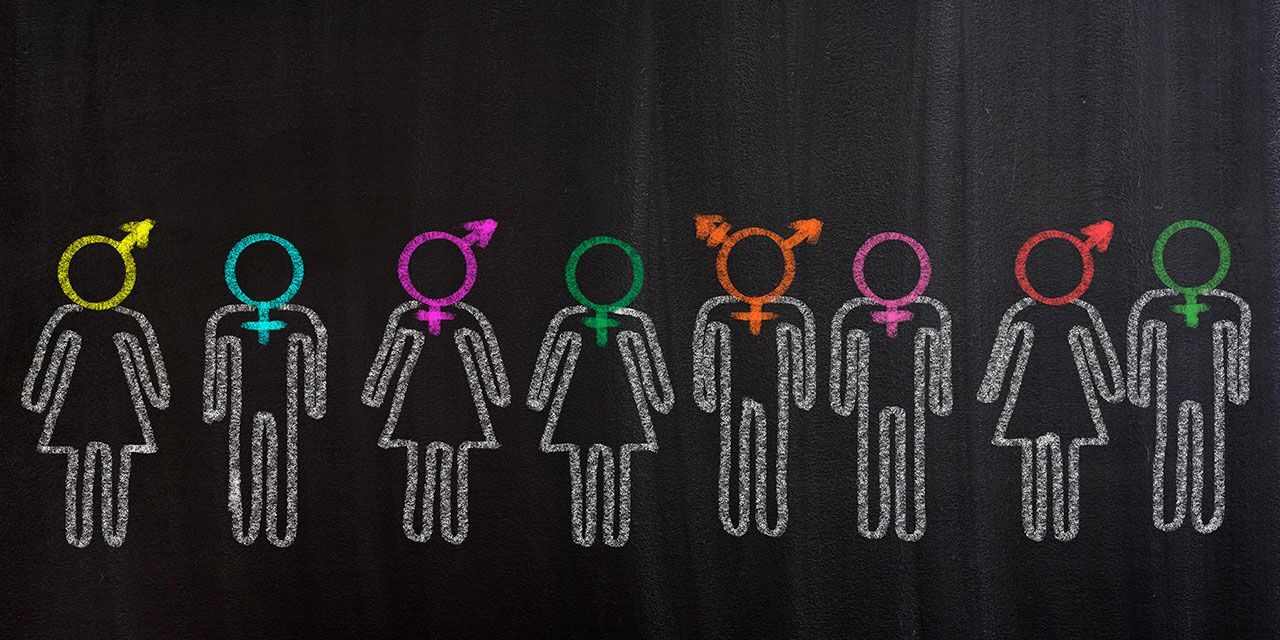gender theory children