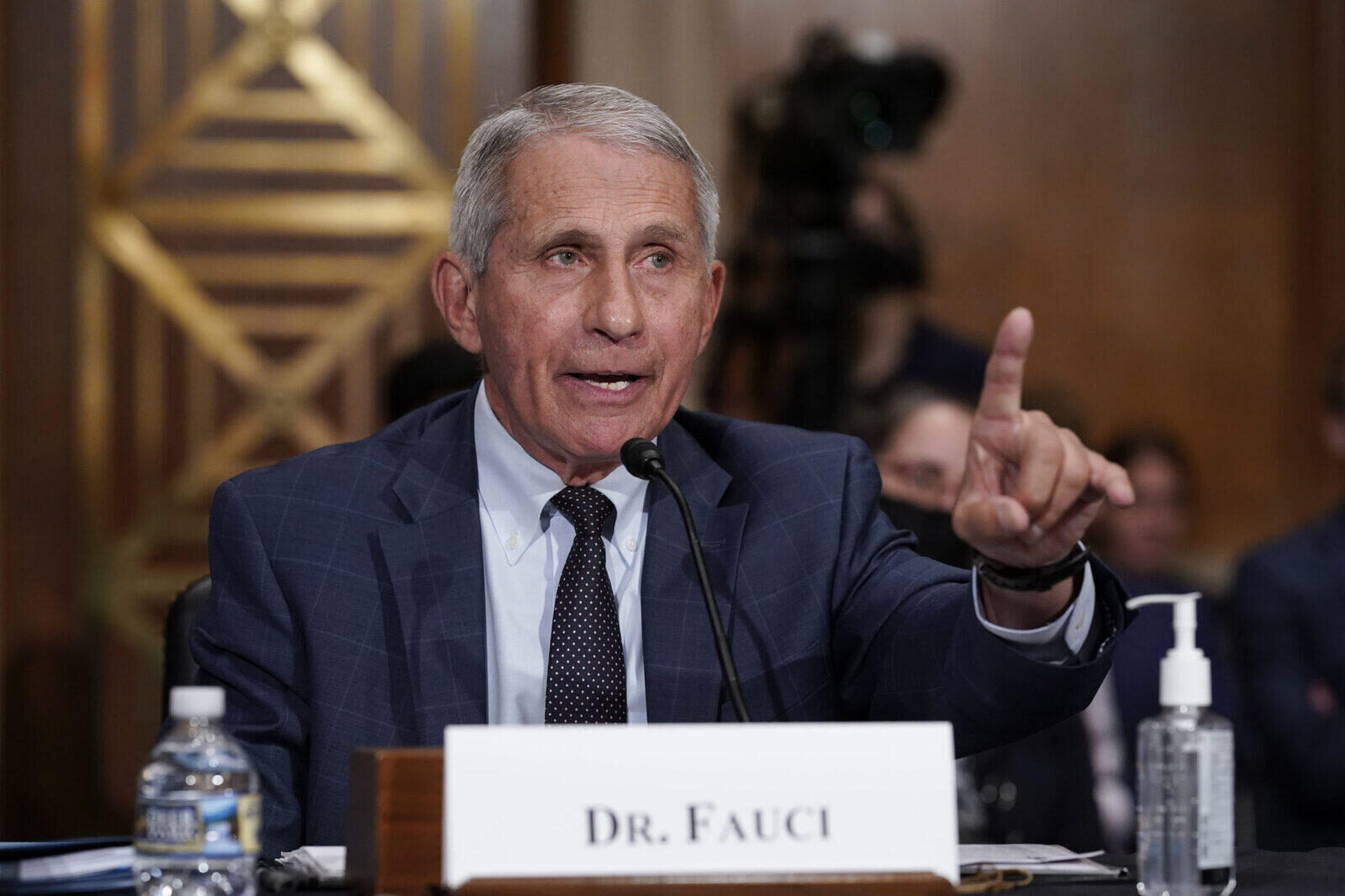 fauci senate hearing