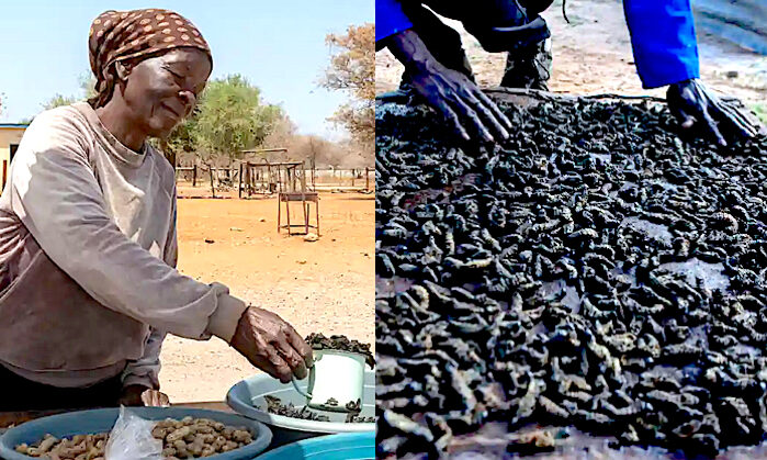 Folks with worms